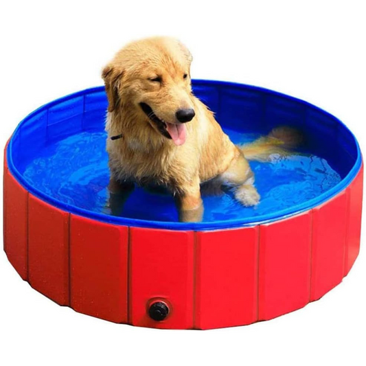 Mascota Piscina Plegable Para 80x20 cm