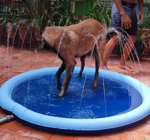 Mascotas Alfombra Rociador Piscina